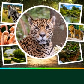 Zoo e Botânico: 10% de desconto!