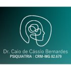 CAIO DE CÁSSIO BERNADES 
