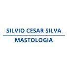 SILVIO CESAR SILVA