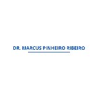 MARCUS PINHEIRO RIBEIRO