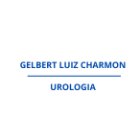 GELBERT LUIZ CHARMON DO CARMO AMORIM